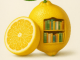 limon kütüphanesi özet
