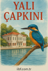 yalı çapkını özet
